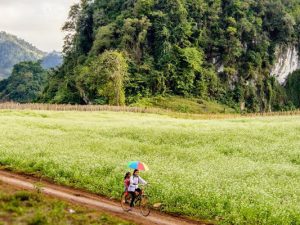 Tour Mộc châu 2 ngày nghỉ lễ - Khách sạn Mường Thanh